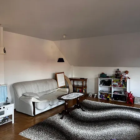 Za Odmor Bela Drijetanj